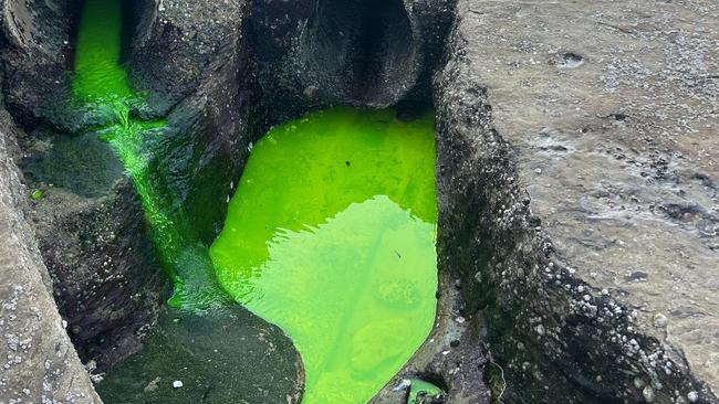 The leak was spotted between North Cronulla and Cronulla Beach on Wednesday afternoon. Picture: Elizabeth Pike