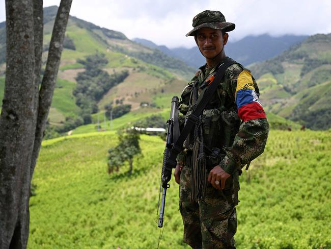 Bright green coca plantations blanket the mountainsides of the narrow Micay Canyon, the heartland of Colombia's holdout guerillas, who rule their fiefdom like a mini-state. Along dirt roads, in makeshift laboratories, farmers openly mix coca leaf with gasoline to extract a paste used to make the pure cocaine that is one of Colombia's top exports. Picture: AFP