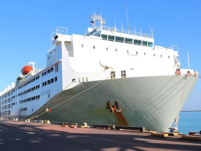 MV Ocean Drover,A total 15,000 Northern Territory cattle worth more than $20 million have been loaded at Darwin Port via a total of 100 road train movements. Exporter AUSTREX loaded 11,500 NT cattle on the MV Ocean Drover, SUPPLIED