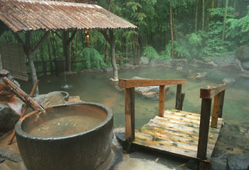 Soak time ... a typical onsen bath used not by monkeys but people.