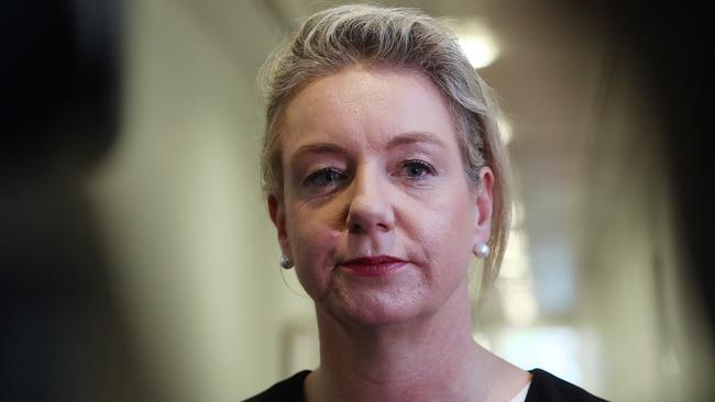 Under pressure … former Sports Minister Bridget McKenzie. Picture: Kym Smith