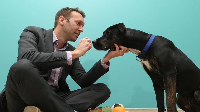 National Veterinary Care managing director Tomas Steenackers with Chevy, a one-year-old male, at their Yatala clinic. Picture: Glenn Hampson