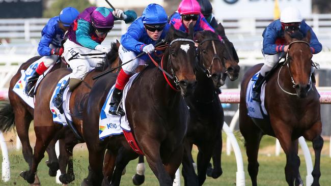 Rillito is TAB tipster Nick Quinn’s best bet at Caulfield.