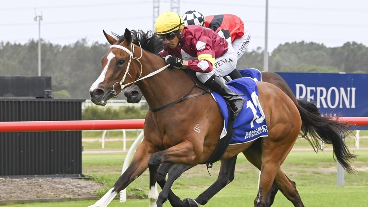Modella will run in the Group 3 Hawkesbury Guineas on Saturday. Picture: Bradley Photos