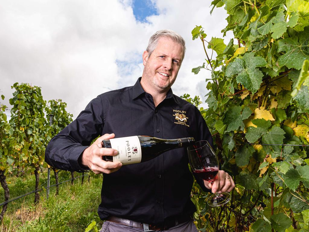 Tasmania wine: Producers say yields down but quality of grapes high ...