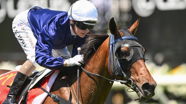 The Map ridden by Jamie Kah wins the The Macca's Run at Flemington Racecourse on November 07, 2023 in Flemington, Australia. (Photo by Morgan Hancock/Racing Photos via Getty Images)