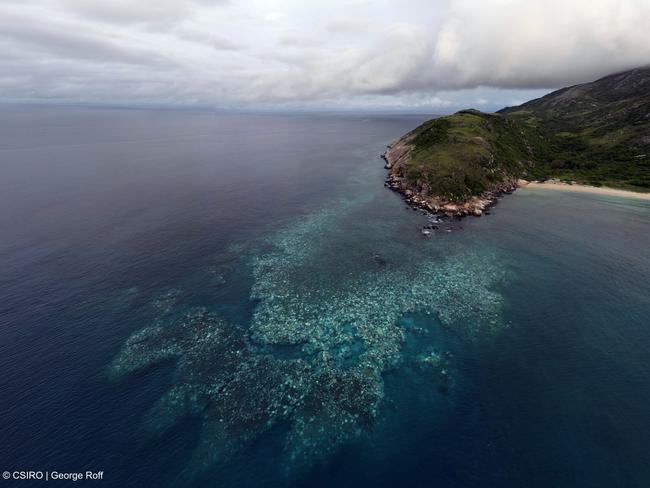 The extent of bleaching on Lizard Island. Picture: CSIRO/George Roff