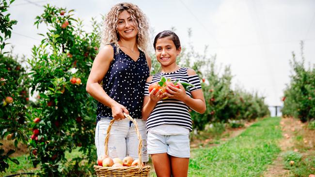 Sahara Daoud, 9, and her mum Vivian picking their own apples at Bilpin Fruit Bowl. Picture: Jonathan Ng