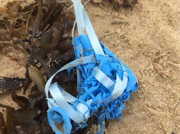 A balloon with plastic ties washed up on Boambee Beach.