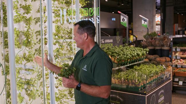 IvertiGro co-founder Paul Millett inspects the Woolies vertical wall. Picture: Supplied