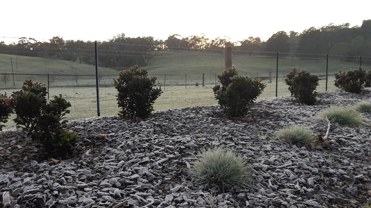 Frost lies on the ground on a farm in Nairne in the Adelaide Hills, when the temperature was just 1C. Picture: Lynton Grace