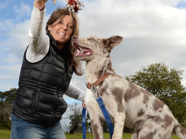 Frankston is getting a new dog agility park at Ballam Park.Jacqui Shannon with dog Odie (7 month old male 'Koolie x')  at Ballam Park. Picture: Jason SammonMonday 18 June 2018