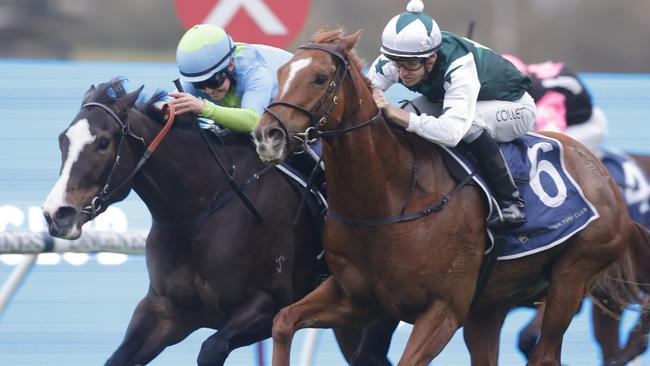 Shades Of Rose (left) was run down by The Big Easy last start. Picture: Jenny Evans/Getty Images