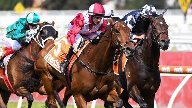 Arcadia Queen beating Russian Camelot and Humidor in the Caulfield Stakes. Picture: Getty Images