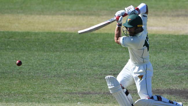 HOBART, AUSTRALIA - MARCH 20: Matthew Wade of the Tigers bats during day one of the Sheffield Shield match between Tasmania and New South Wales at Blundstone Arena on March 20, 2021 in Hobart, Australia. (Photo by Steve Bell/Getty Images).