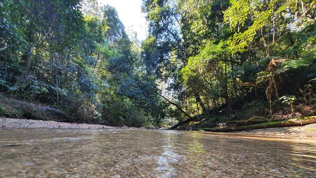 Ben Roberts took out this week's Cover Image competition with this peaceful picture of Ewingar Creek