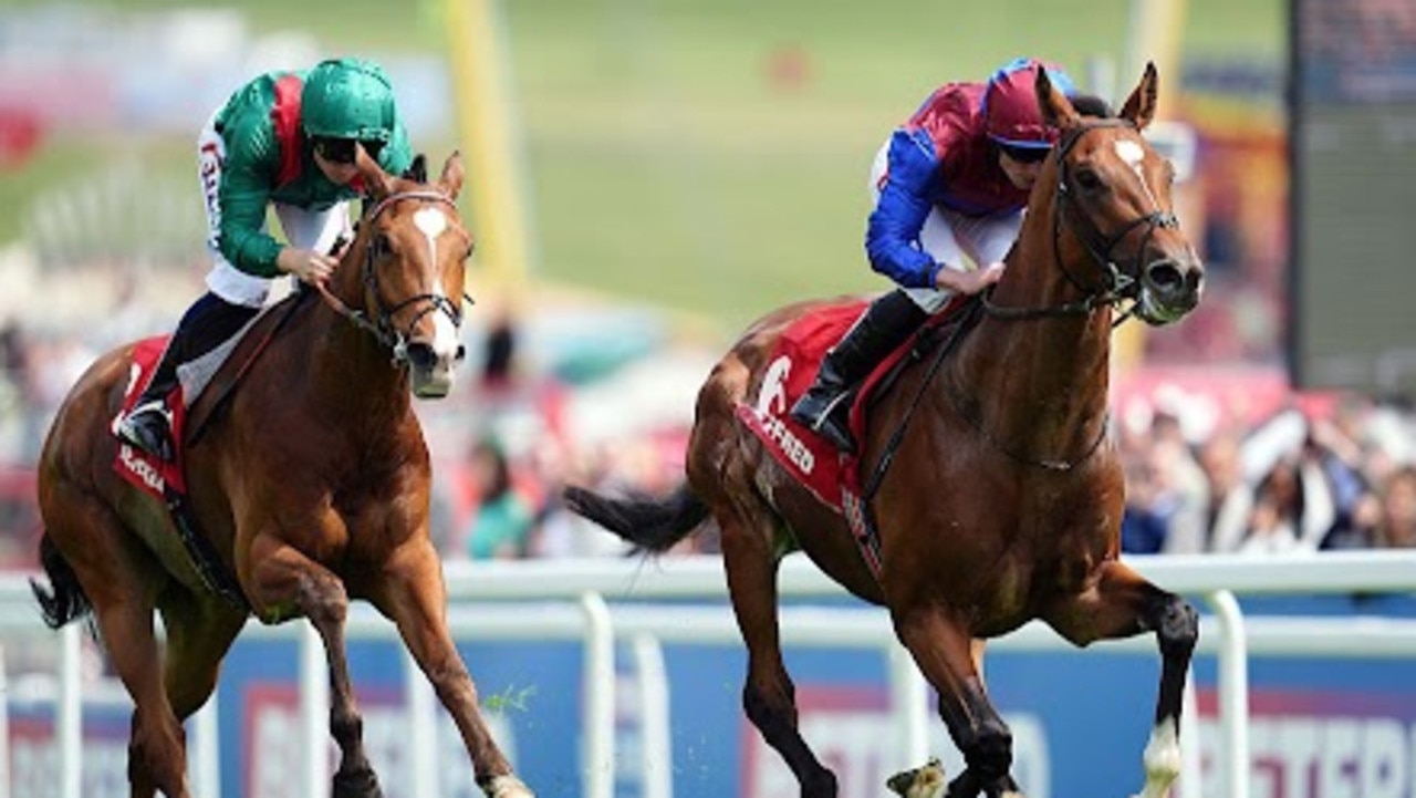 ‘Biggest Melbourne Cup certainty’: O’Brien’s latest swipe at Jan Brueghel scratching