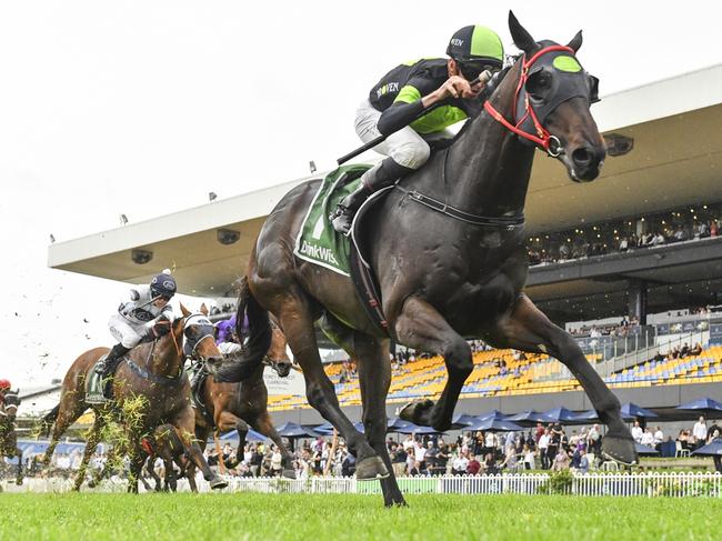 Private Eye wins the Festival Stakes at Rosehill Gardens on November 30, 2024. Picture: Bradley Photos