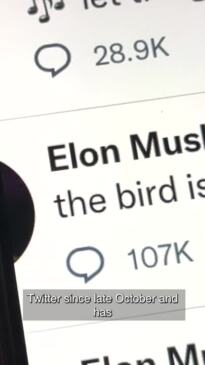 Elon Musk quits as Twitter CEO