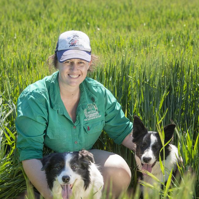 Tess Healy in her barley crop with Jedda and Belle. Picture: Zoe Phillips