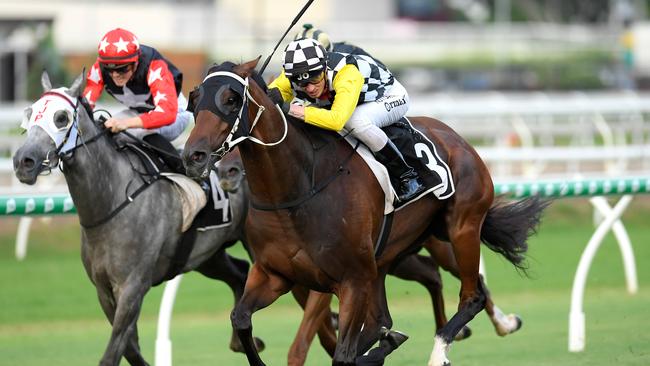 Ballistic Boy in Race 2 looks like one of the best value bets for Saturday. Picture: AAP.