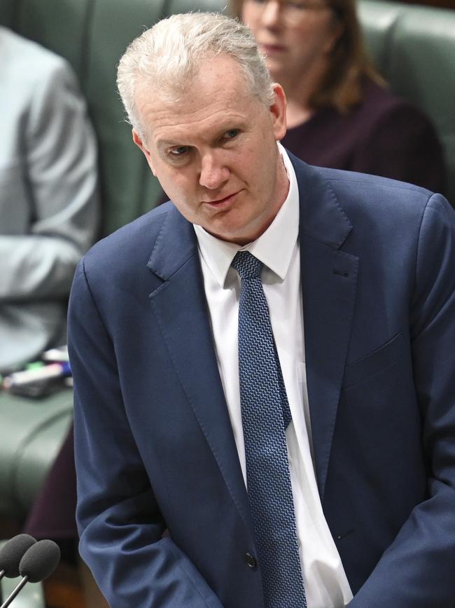 Home Affairs Minister Tony Burke in parliament on Tuesday. Picture: Martin Ollman