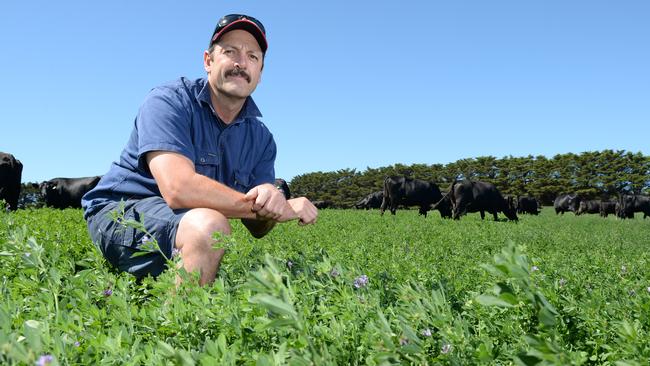 Mornington Peninsula Vic Farmers Federation branch president Eddie Matt says the council needs more planners with agricultural expertise to protect the Green Wedge. Picture: Jason Sammon