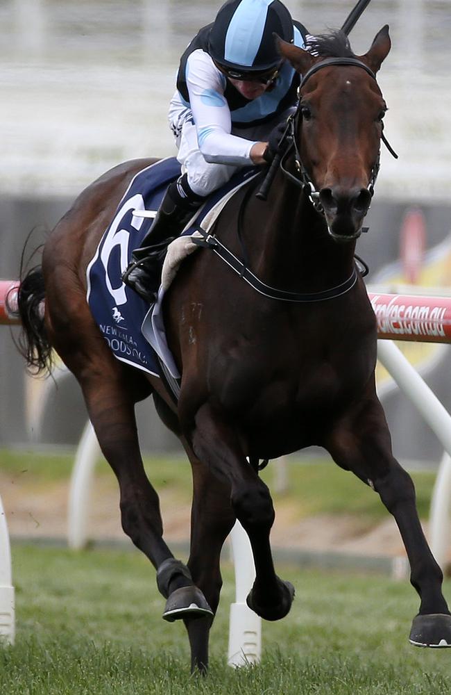 Stephen Baster pilots Pinot to victory in the Ethereal Stakes. Picture: AAP