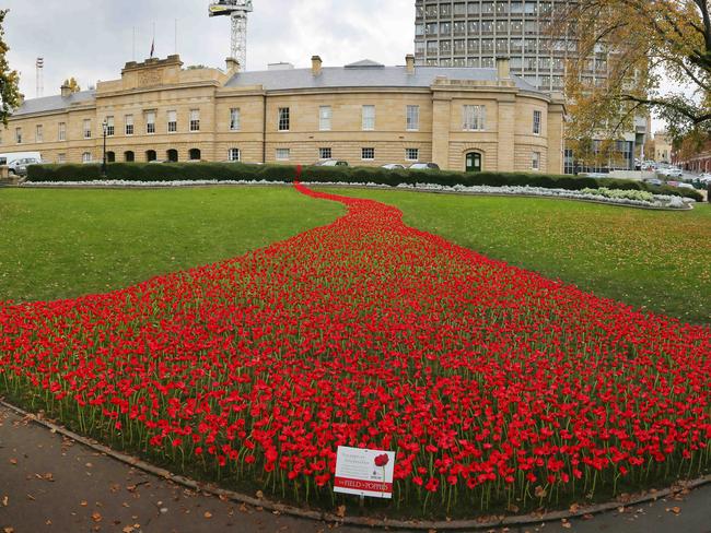 The final result of the Mercury's Poppies project on Parliament Lawns