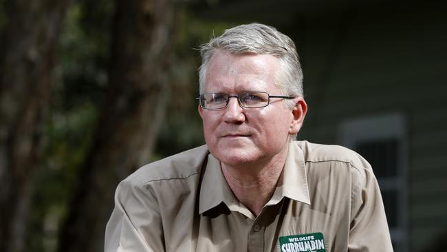 Currumbin Wildlife Sanctuary's senior vet, Michael Pyne. Picture: JERAD WILLIAMS