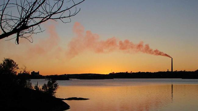 GOING GREEN: Coffs councillors vote to divest in financial companies which fund fossil fuel enterprises. Picture: Contributed