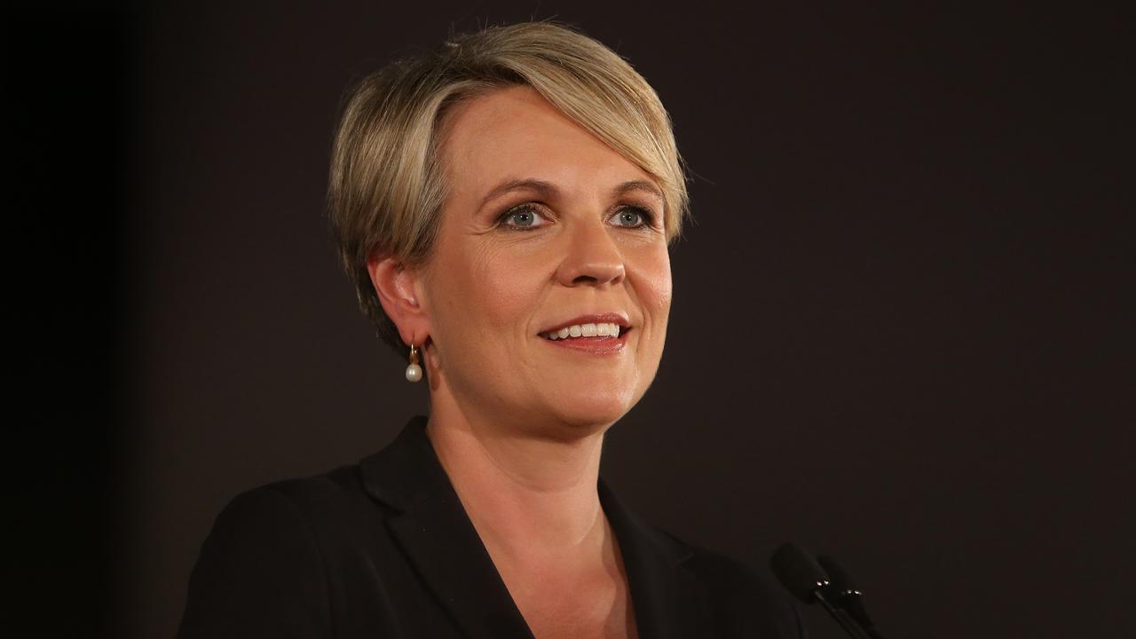 Tanya Plibersek is also a popular candidate to be the next Labor Leader.