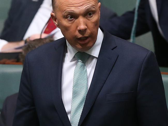 Peter Dutton insists his childcare centres receiving millions in government funding does not breach the Constitution.