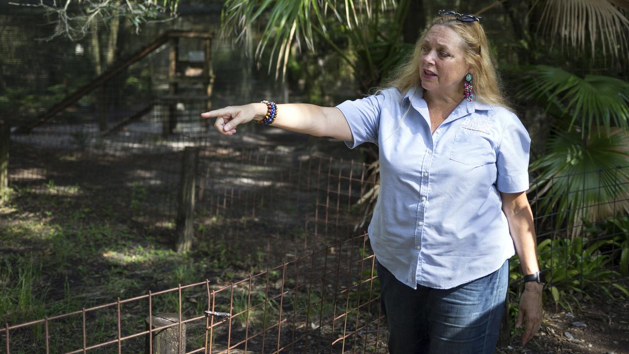 Carole Baskin, founder of Big Cat Rescue, was married to Jack Don Lewis, whose 1997 disappearance remains unsolved and is the subject of a new Netflix series Tiger King. Picture: Loren Elliott/Tampa Bay Times/AP