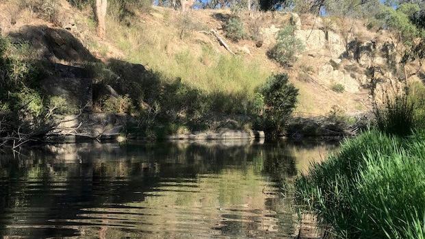 Hepburn Shire Council and Mount Alexander Shire Council have proposed to rename Jim Crow Creek to Larni Barramal Yaluk following public pressure over the racist name. Picture: Contributed.