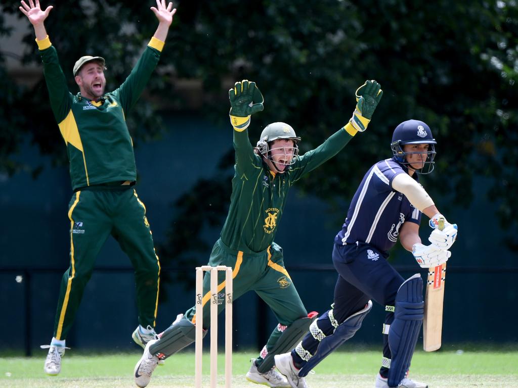 Premier - (from left) Northcote pair Josh Sundberg and Blayde Baker appeal for the wicket of Carlton’&#149;s Nikhil Deep Pottabathini. Picture: Andy Brownbill