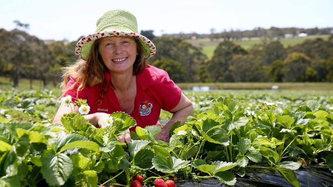 Heather Nicholls says Berry World is usually kept busy with Chinese tourists. Pictures: Andy Rogers