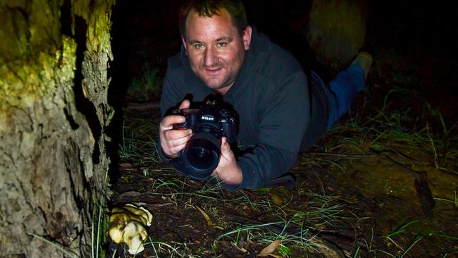 Kurtis Hickling has been photographing the ghost mushroom in Mt Pilot National Park for years.