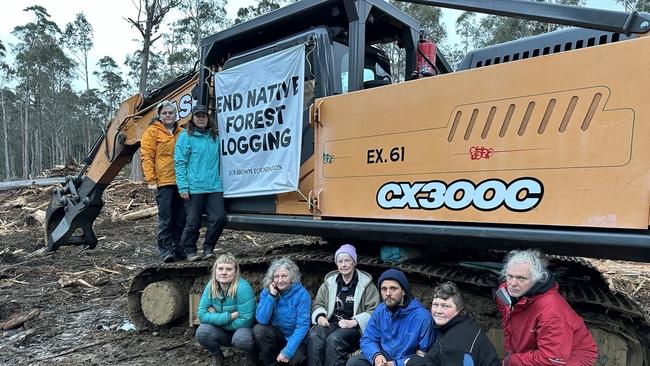 Anti-logging protests in forests in the Tasmanian Central Highlands, near Lake Binney. Picture: Bob Brown Foundation