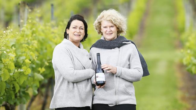 Rosemary Bennett (right) and daughter Kelly Bennett are pictured at Home Hill Vineyard, Ranelagh. PICTURE: MATT THOMPSON