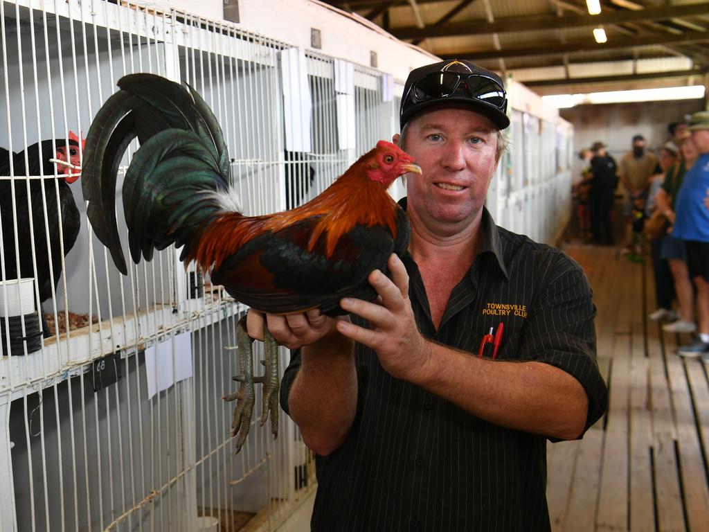 PHOTOS: Townsville Show 2024 in full swing | Townsville Bulletin