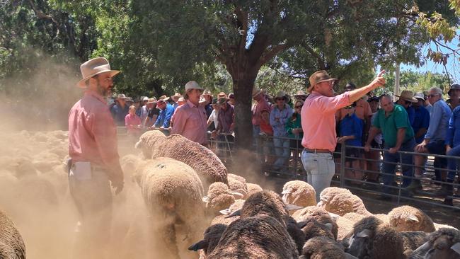 Livestock agents take the bids at the Deniliquin sheep sale. Picture: Jenny Kelly