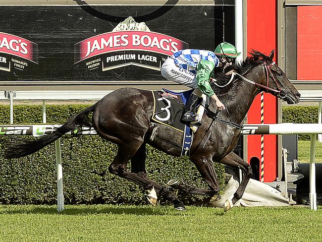 Signoff and Harry Coffey make easy work of their rivals at Morphettville. Picture: Bianca De Marchi