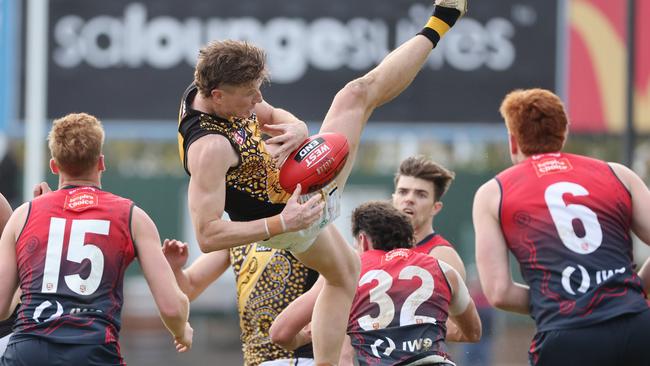 Glenelg’s Lachie Hosie flies high but spills the mark against Norwood at The Parade on Saturday. Picture: David Mariuz (SANFL)