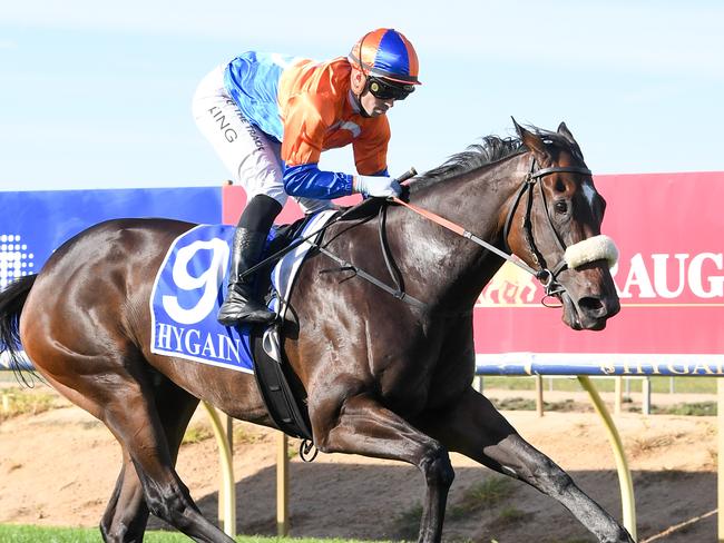 Grinzinger Moon will shoot for her fifth straight win when she makes her city debut at Caulfield on Saturday. Picture: Racing Photos via Getty Images.