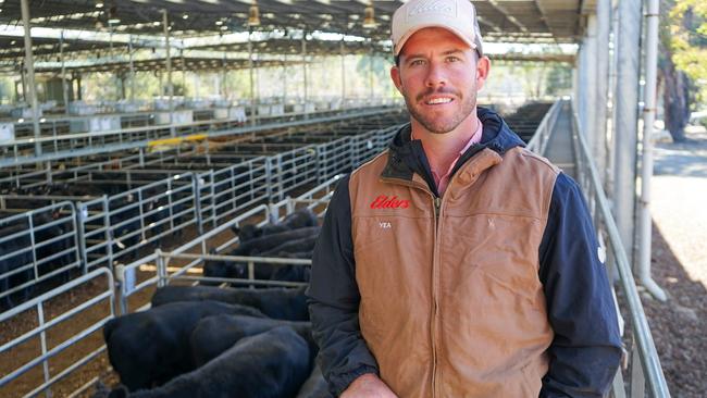 Elders Yea livestock agent Ryan Sargeant. Picture: Rachel Simmonds