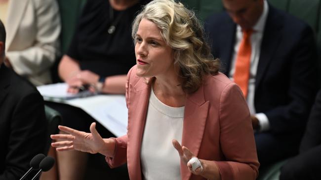 The home affairs minister accused Peter Dutton of telling ‘outright lies’ about border funding on Tuesday. Picture: NCA NewsWire / Martin Ollman