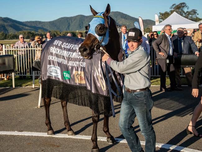 ‘Enormous run’ propels Central Qld racehorse past magic $1M prize money mark