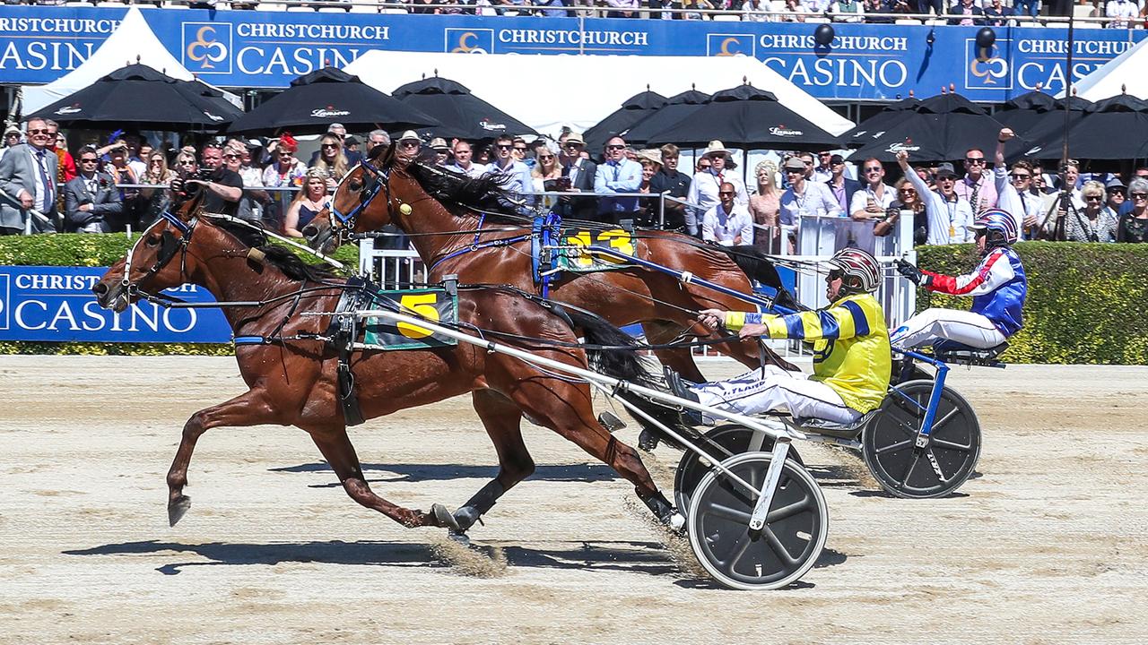 Tough Monarch holds out the fast-finishing McLovin at Addington. Picture: Harness Racing New Zealand