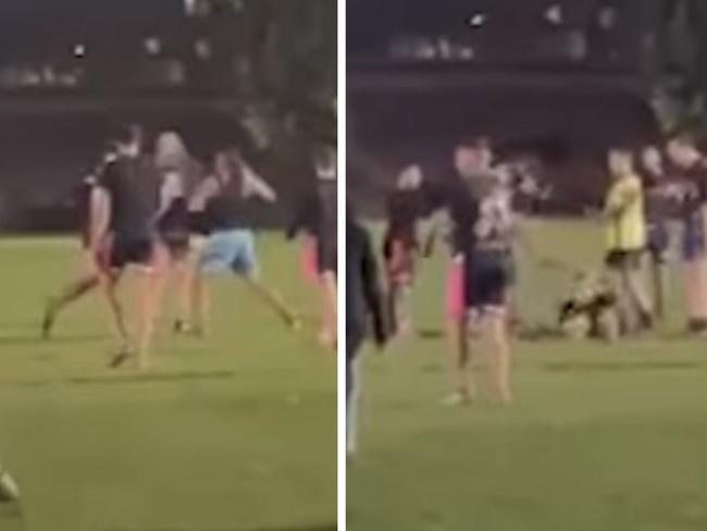 Horrific scenes at Wentworth Park on Monday night. Photo: Instagram